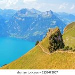 8148开奖结果最新公布,速看中奖号码详情 0u353yv7p