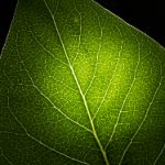 861开奖前后出现的惊人规律大揭秘 1zcfk24