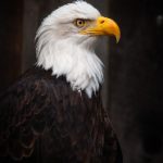 840开奖号前后关联走势分析与预测 3ie5oi48g