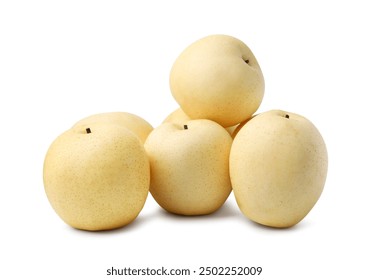 环球娱乐场：探索全球最顶尖的娱乐体验与魅力