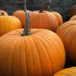 85122期彩票开奖日期公布与中奖号码查询 4zlsp2p5q