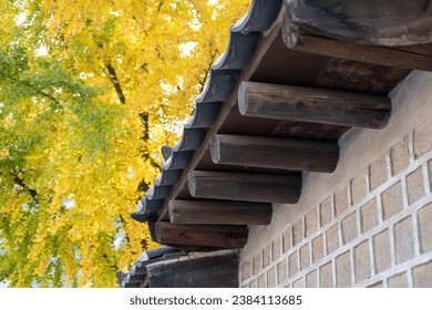 环球国际官网下载常见问题及快速使用技巧大全