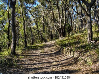 859开奖前后出号规律深度解析与预测