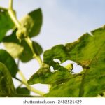 86期六给彩开奖结果最新公布,彩民们速来查看中奖详情 i8tx26ab