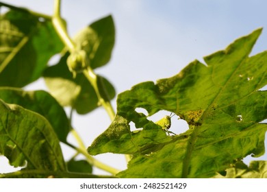 86期六给彩开奖结果最新公布，彩民们速来查看中奖详情