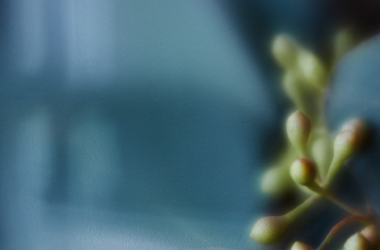 现金赌网平台的运营模式与玩家权益保护的深度解读