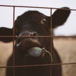 856开奖号前后走势深度解析与预测 ldjm7r5b91