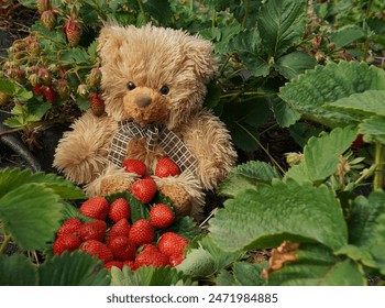 868开奖次数统计与历史数据分析报告