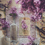 NBA百视通直播表最新赛程安排与观看指南 8b63vx0ngn